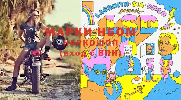 ешки Дмитриев