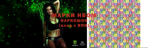 индика Гусев