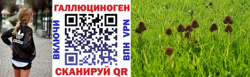 где купить наркоту  Междуреченск  OMG ссылка  Галлюциногенные грибы ЛСД 