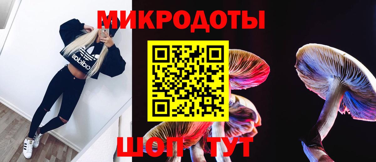 Псилоцибиновые грибы MAGIC MUSHROOMS Междуреченск
